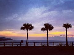 gm213さんの大浜海浜公園（奄美市）への投稿写真1