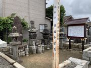 �X�^�[����̌㓡�����q�̕�̓��e�ʐ^1