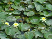 񂲂̏csyٕف@iLOق̓eʐ^3