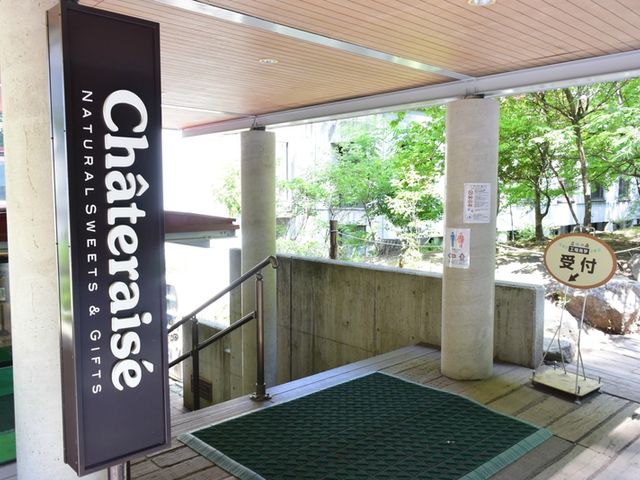 �e���V�����オ��܂�_�V���g���[�[�@���B�H��