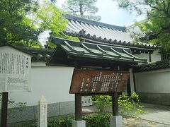 ���񂳂�̑ޑ��@�ւ̓��e�ʐ^1