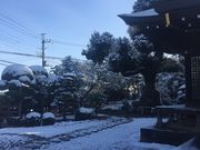 ���݂�L�b�`������̏����_�Ђ̓��e�ʐ^3