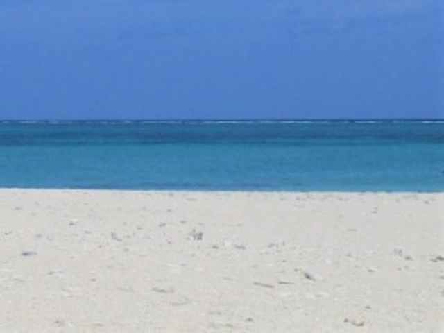 �n�e�̕l�A�������l�Ɛ��C�̃R���g���X�g���Ƃɂ����Y��_�n�e�̕l