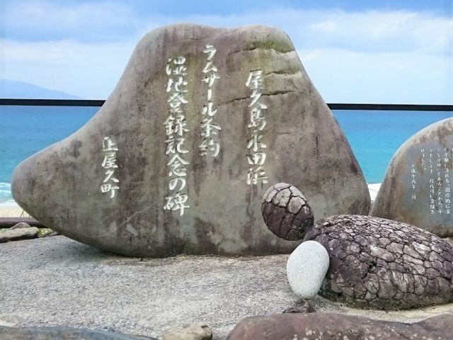 �i�c�l_�i�c�l