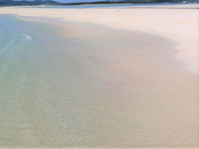 �n�e�̕l_�n�e�̕l