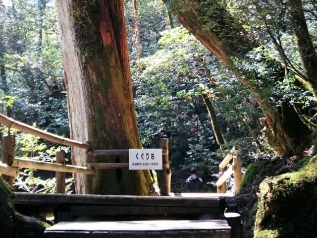 �����萙_���N�X�M�����h