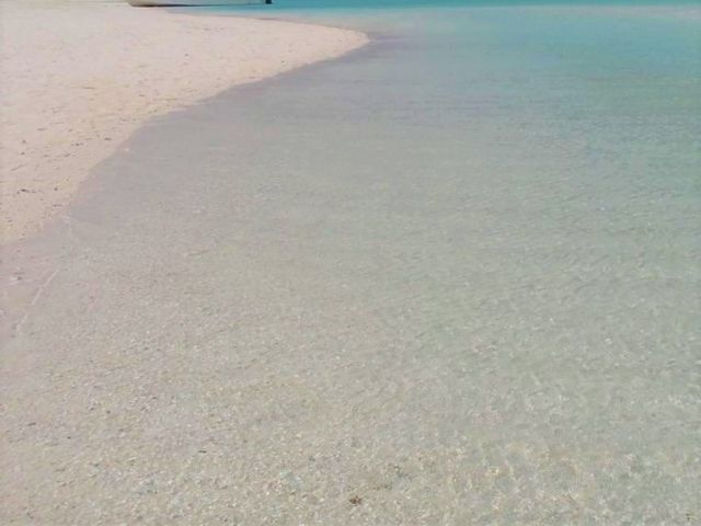 �n�e�̕l_�n�e�̕l