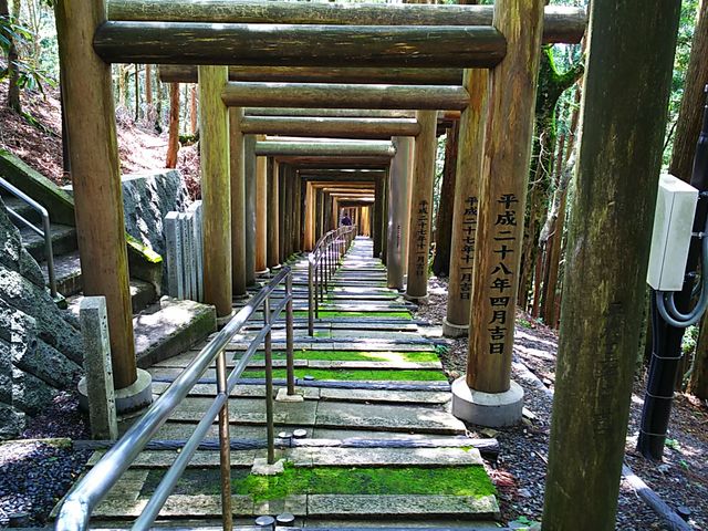 �������������ԐΒi_�����r�_��