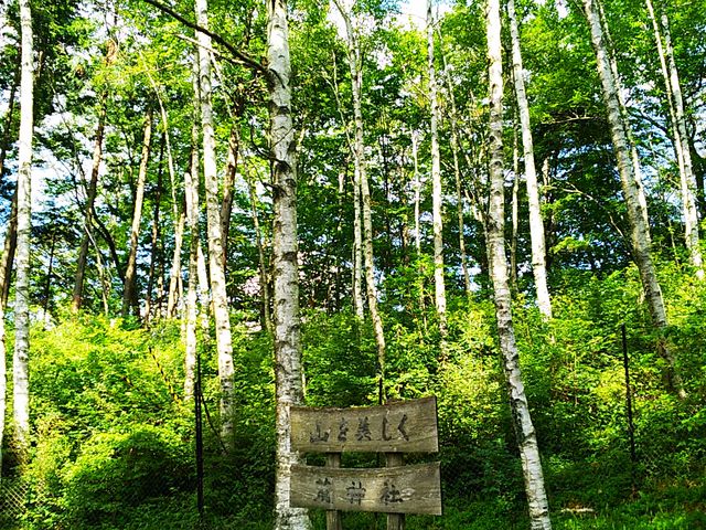 ������_�����r�_��