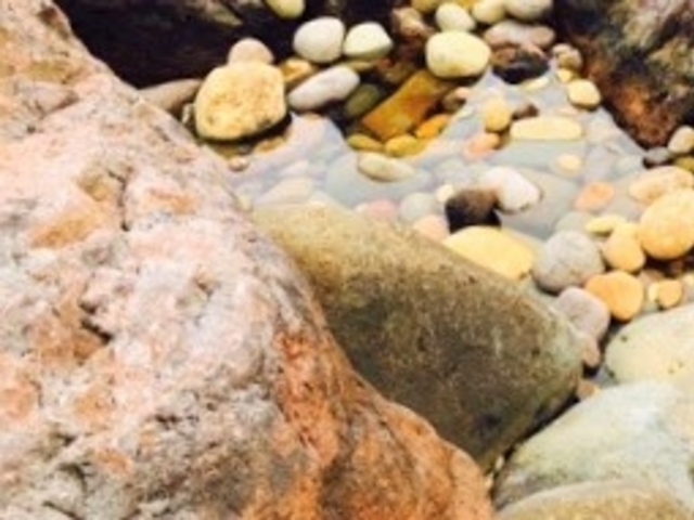 ӂ̊΂򐬕̉eŊFɐ܂Ă_C