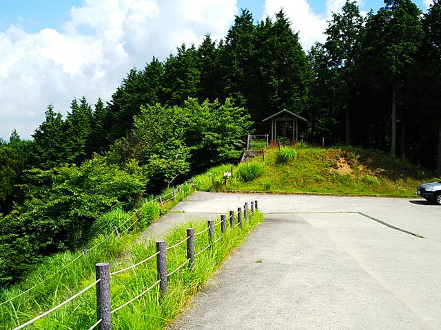 ����_�ߕP����