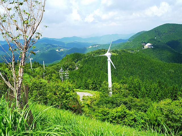 ����_�ߕP����