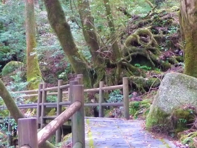 ���N�X�M�����h�̕���_���N�X�M�����h