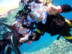 CN^ẼV}n@}T[rXւ̓eʐ^1