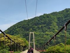 񂿂񂳂̕ʕ{Ne`ւ̓eʐ^1