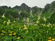 񂳂̐~J[̍RA̓eʐ^1