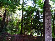 �˂�����񂳂�̍���Q�w�����Γ��̓��e�ʐ^1