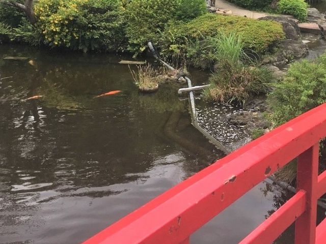 rɂ͑傫Ȍ_{뉀izej[I[^jj