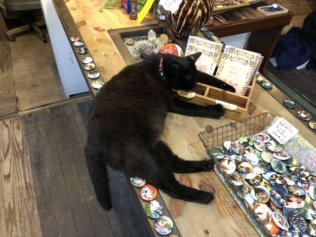 傱onomichi365̓eʐ^1