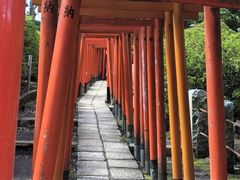 mitu̍Ð_Ђւ̓eʐ^1