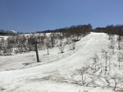 hƂ䂤q̂XL[icGAj̓eʐ^2