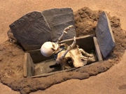 �����݂���̈�x�������ق̓��e�ʐ^1