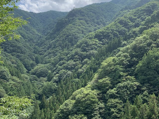 ߓȏǑiFI܂ɗΈFII_s