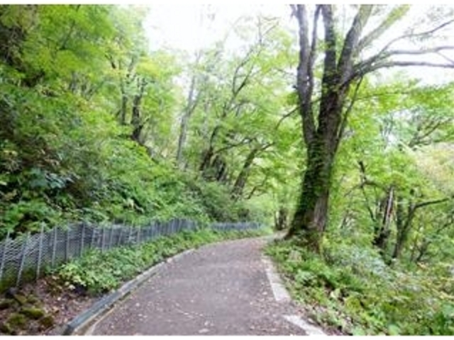 �H�߂̑�ւ̗V����_�H�߂̑�