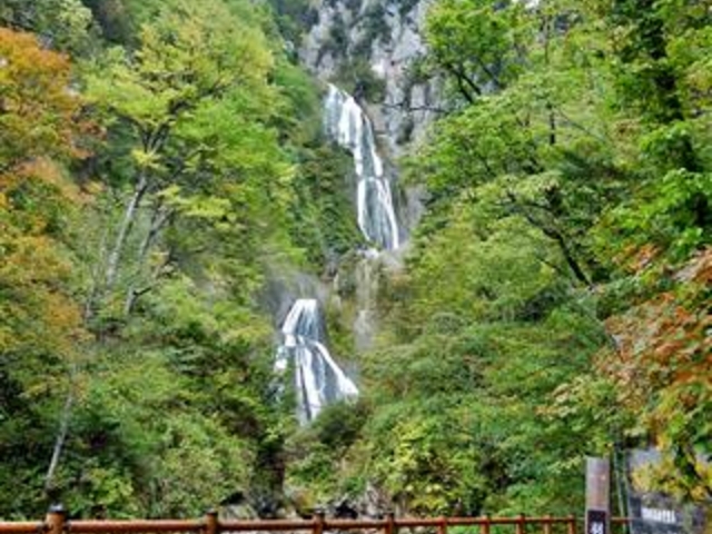 ���{�̑�S�I�ɂ��I�΂ꂽ�u�H�߂̑�v_�H�߂̑�