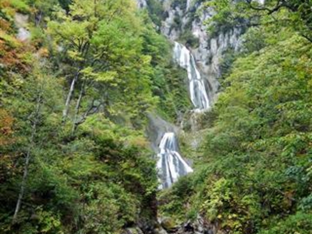 �u�H�߂̑�v_�H�߂̑�