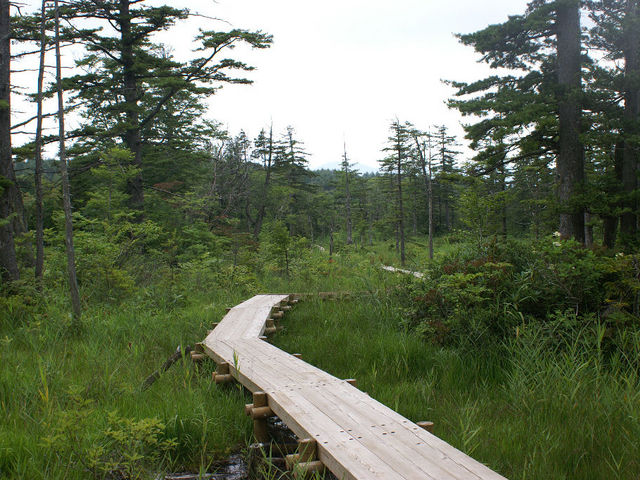 �����P_�f�R������