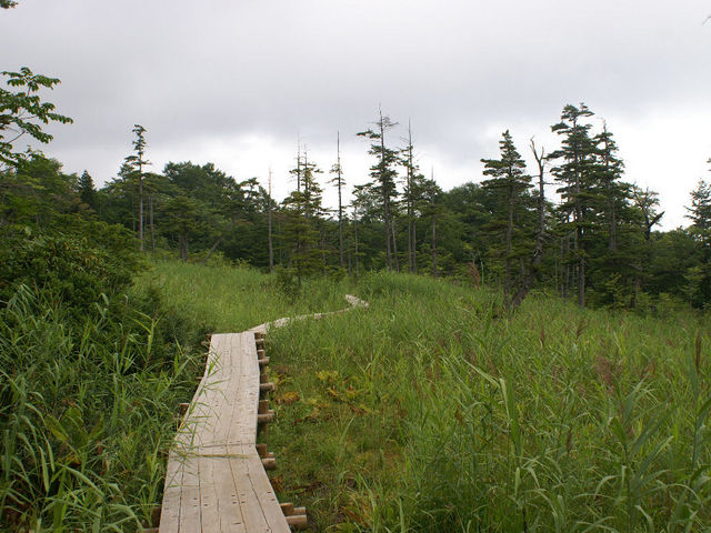 �����Q_�f�R������