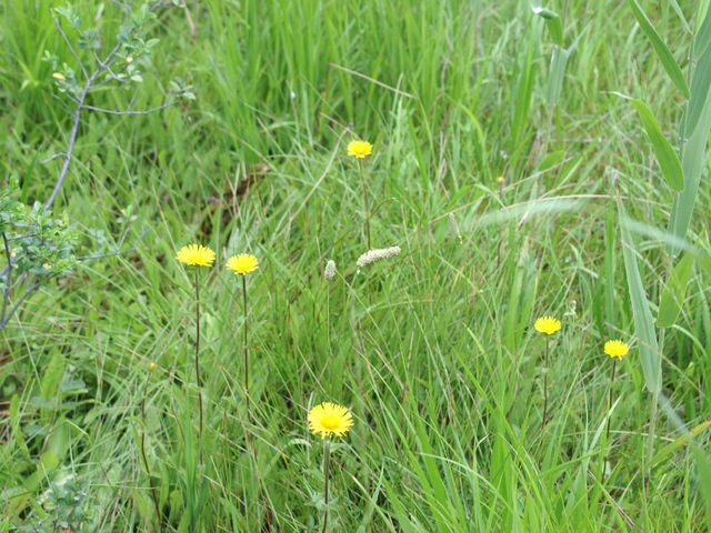 �~�Y�M�N_�f�R������