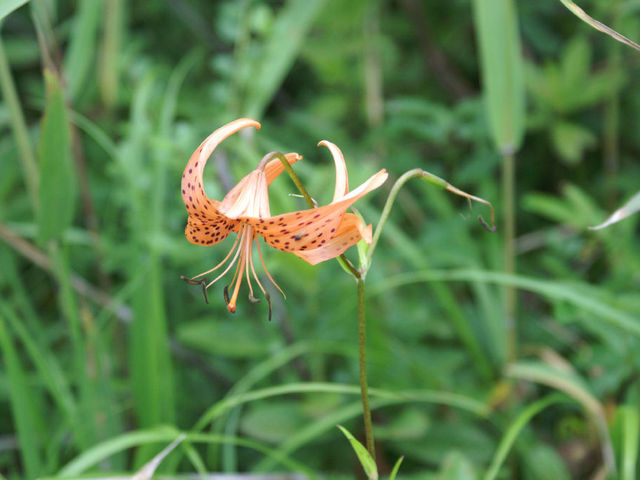 ����_�f�R������