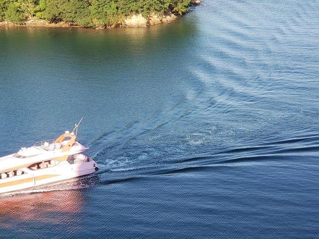 zeɒẮAǑiFł_]ˉ򕨌Premium ɐu