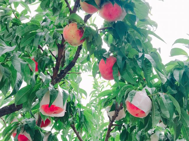 ���������̗ǂ�����ł����i�O�ցO�j_�����_��