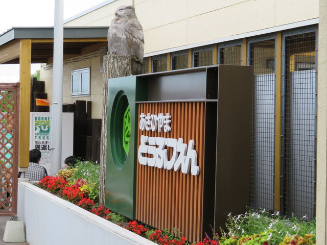 ���ʓ����_���R������