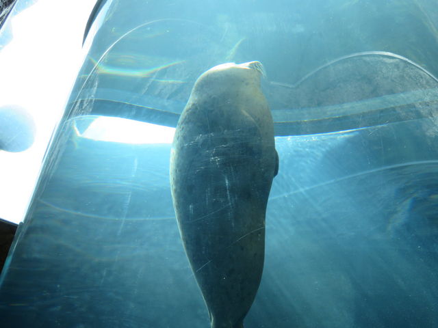 �A�U���V_���R������