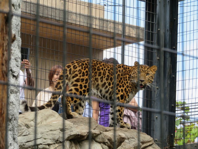 �q���E���K�����i�|�j_���R������