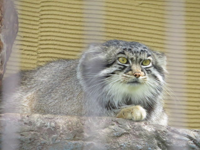 �}�k���l�R�͈�_���Î���_���R������