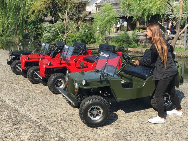 ���ϒn��ɂ�_�q�~�ό�Cruise