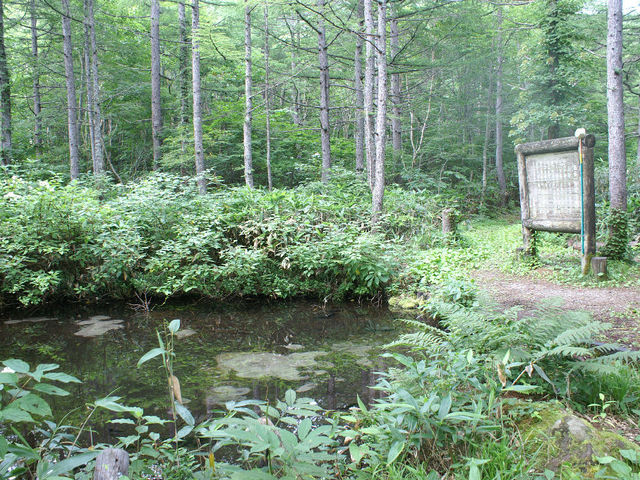 百貫清水全景_小野川湧水