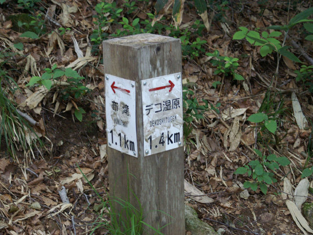 道の案内杭_小野川湧水