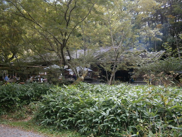 _r̂߂łAC̕班܂Ėؗ͂ł̂łzłB_Ö原