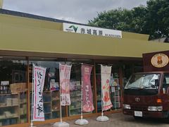 K-NAKA̐ԏ鍂SAijւ̓eʐ^1