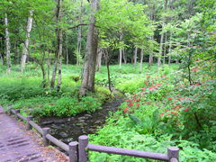 P쌹RT iP쌹EeCj̎ʐ^1