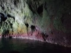 ibc}}̏M̓AN[Yւ̓eʐ^1