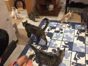 ̂˂JtF@ɂႨ̓eʐ^1