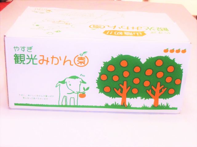 p݂̂񔠂łB݂񉀂̃AChEM̂߂`߂fUC̃Cł_₷ό݂