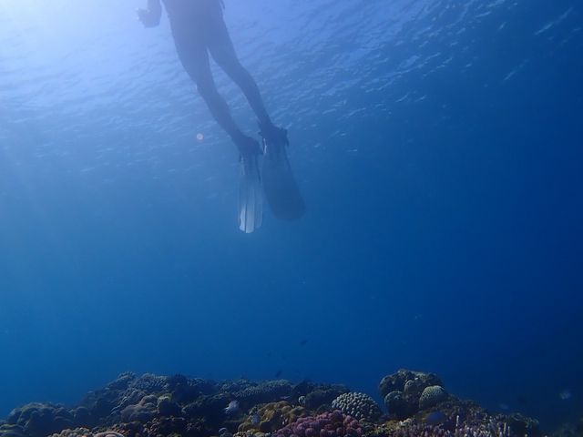 �B�e���Ă�������ʐ^_SHIZUKA